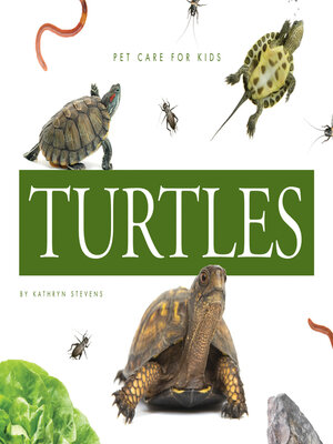 cover image of Turtles